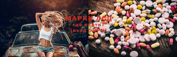 mdpv Волоколамск