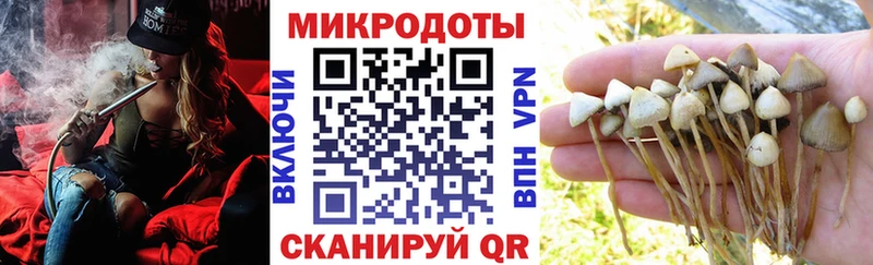 Галлюциногенные грибы прущие грибы  Южно-Сахалинск 